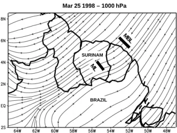 Fig. 1. Flow field from ECMWF at 1000 hPa on 25 March 1998.