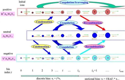 Fig. 1. Schematical illustration of kinetic processes controlling the evolution of positively charged (H + A a W w X x ), neutral (A a W w X x ), and negatively charged (Y − A a W w X x ) clusters/particles that are explicitly simulated in the size-, compo