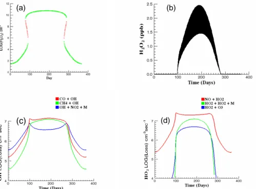 Fig. 3. Steady-state (a) and time-dependent (b) and (c) calculations for S NO of 2×10 6 cm −3 s −1 