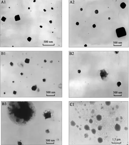 Figure 6.    TEM micrographs of deposited aerosol particles composed of sodium chloride (NaCl,  high contrast) and bovine serum albumin (BSA, low contrast ): pure NaCl particles  before conditioning (A1) and after conditioning at RH = 70 % (A2); mixed BSA-