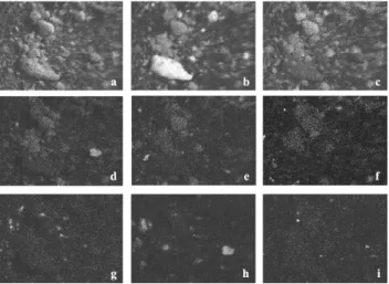 Fig. 10. Elemental X-ray dotted maps obtained from the BSE image of Fig. 5b, showing the particles containing: (a) O, (b) Si, (c) Al, (d) Mg, (e) K, (f) Fe, (g) S, (h) Ca and (i) Ti.