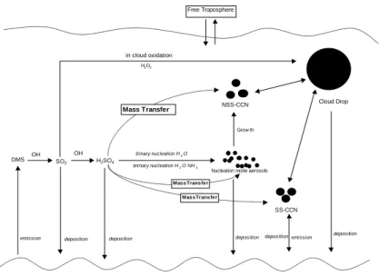 Fig. 1. The structure of the marine boundary layer CCN formation from DMS and sea salt flux for this work (the original figure was adapted from Raes, 1995).