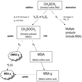 Fig. 6. MSA: nss-SO 4 2− ratios R and R b which includes an adjustment to the nss-SO 4 2− for a non-DMS contribution of 15±5 ng m −3 in winter and 27±13 ng m −3 in summer, (see text) calculated from cascade impactor filter measurements during CHABLIS