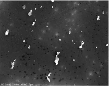 Fig. 6. SEM picture of mineral dust Cairo 2.