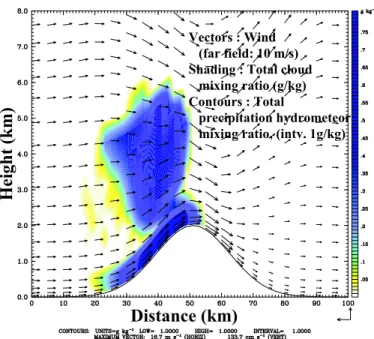 Fig. 3. Clouds after 10 min of model start.
