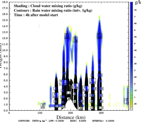 Fig. 8. Clouds and rainfall generated by convection triggered by mountain flow. (Case U-a after 4 h of model start.)