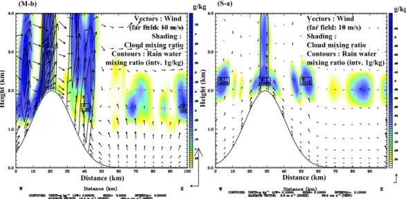 Fig. 10. Situation on the lee-side in the afternoon (13:00 h) for cases M-b and S-a. Combination of sea-breeze and large-scale wind, causes lee-side enhancement of convective activity (M-b).
