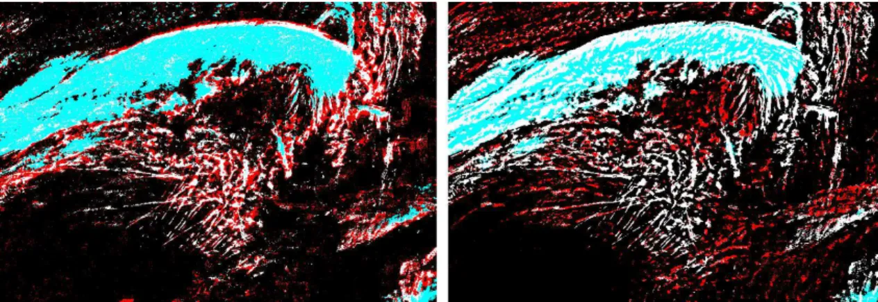 Fig. 3. (Left) white and red pixels are those detected by the corrected brightness temperature test T 10.8 −T 12.0 ; red pixels were detected by the corrected brightness temperature test T 10.8 −T 12.0 , but not by the morphological test on WV73 – they are