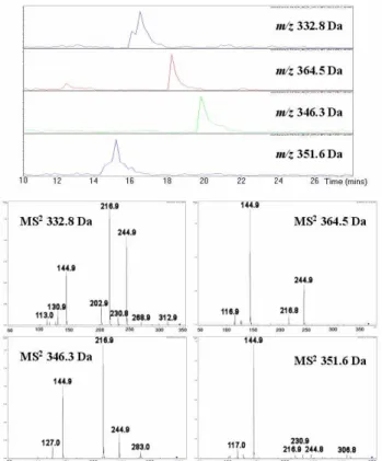 Fig. 7. Extracted ion chromatogram for m/z 245, obtained using high resolution micrOTOF detector