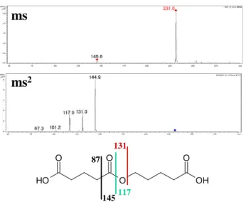 Fig. 5. Mass spectral data and structural analysis of peak with [M- [M-H] − of 261 Da