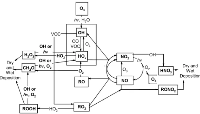 Fig. 1. Tropospheric gas-phase reactions linked to hydroperoxides.