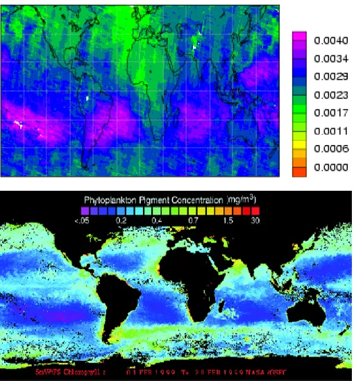 Fig. 1. Above: GOME fit quality results plotted for February 1999; below: Chlorophyll-a concentration from SeaWiFS for the same period.