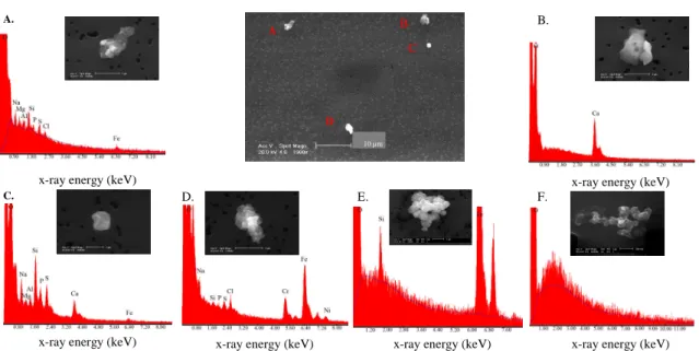 Fig. 3. Secondary electron images and EDX spectra of residual ice crystals collected during INTACC