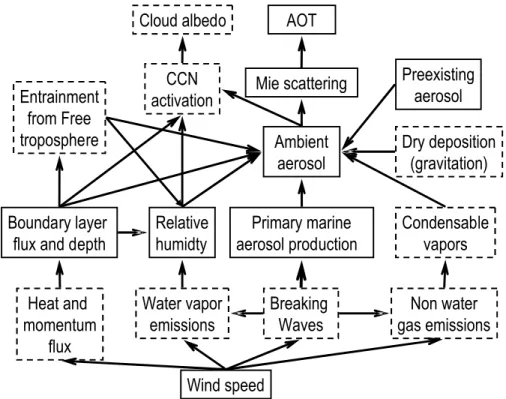 Fig. 9. Schematic overview of processes involved in the climate forcing by primary marine aerosol particles