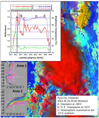 Fig. 6. Analysis of the cloud top microstructure of the phase-1 Chisholm Pyro-Cb and adjacent clouds, based on the NOAA-AVHRR overpass on 29 May 2001, 00:00 UTC