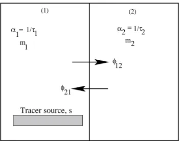 Fig. 3. Conceptual model of tracer transport. See text for details and the description of the parameters.