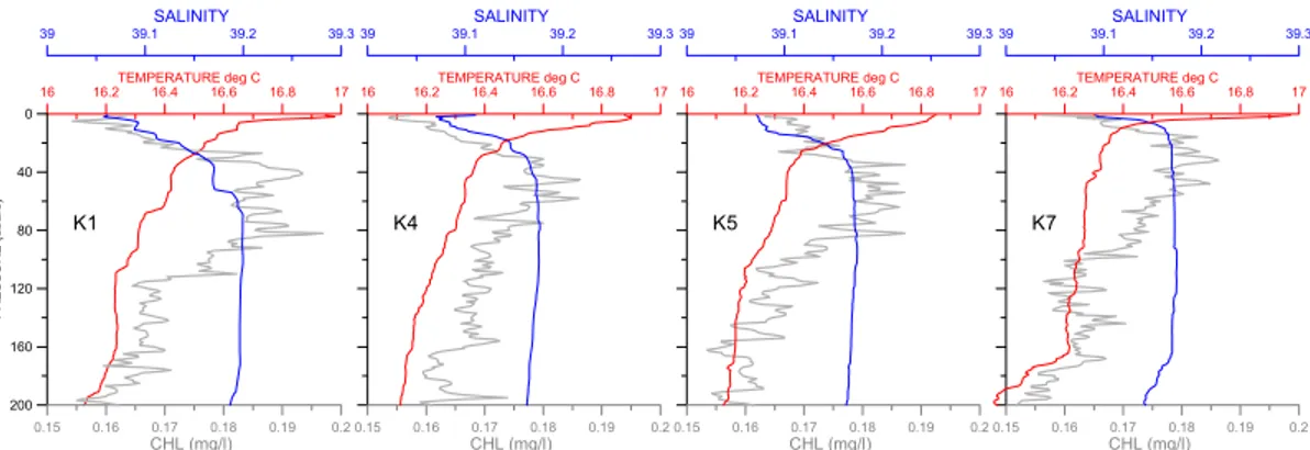 Fig. 4. Distribution of Temperature (red line), Salinity (blue line) and Chlorophyll-a (grey line) versus depth (down to 200 m)