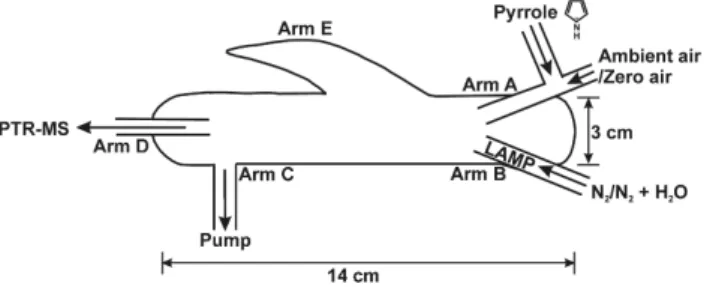 Fig. 2. Schematic of the glass reactor used in the Mainz CRM in- in-strument.