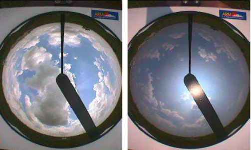 Fig. 1. Images from Total Sky Imager (TSI) obtained on 5 July 2002 (left), and 8 July 2002 (right) at 18:00 UTC.