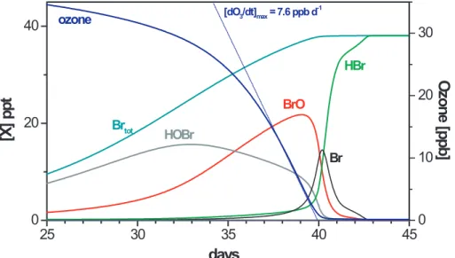 Fig. 3. Basic run (initially 0.6 ppt of Br and Cl; SZA fixed at 80 ◦ ) – time series (day 25–day 45) of bromine species and ozone inside the top box (100–1000 m).
