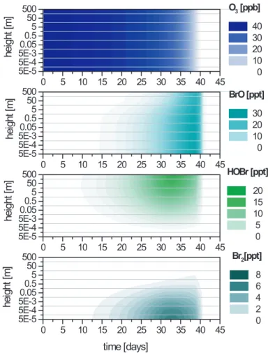 Fig. 4. Vertical concentration profiles for ozone and bromine species, according to simulation model basic run.