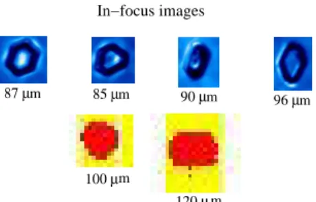 Fig. 1. In-focus CPI images of crystals with maximum dimensions of at least 85 µm and 2D- 2D-S images of crystals larger than 100 µm (top) sampled in the TTL cirrus on 1 February are shown