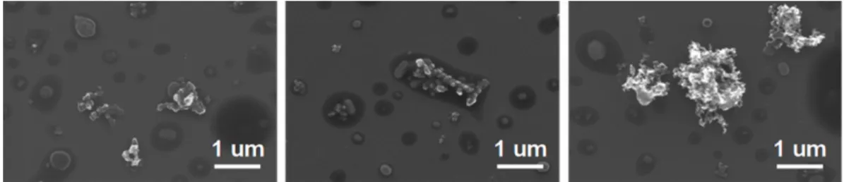 Figure 5.  SEM images of ambient particles collected at CENICA.  Soot aggregates are  heavily internally mixed with ammonium sulfate and other inorganic compounds