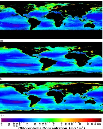 Fig. 1. SeaWiFS (Sea-viewing Wide Field-of-view Sensor) satellite pictures (NASA/Goddard Space Flight Center and ORBIMAGE) about surface waters biological activity