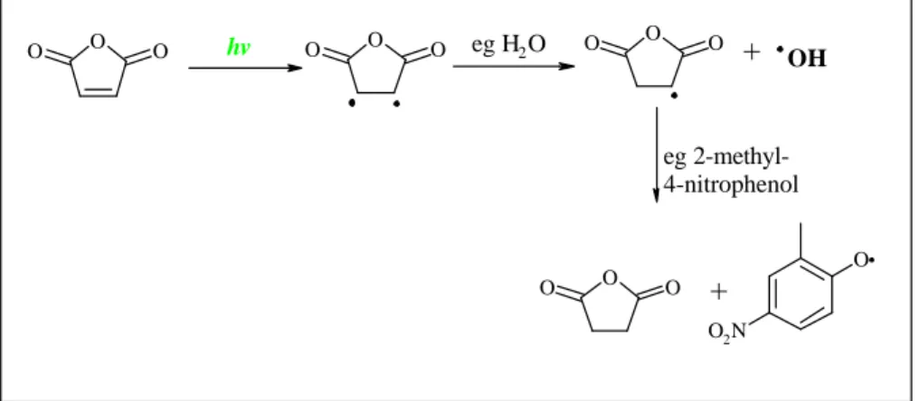 Fig. 5. Photolytically induced mechanism from 2,5-furandione to dihydro-2,5-furandione.