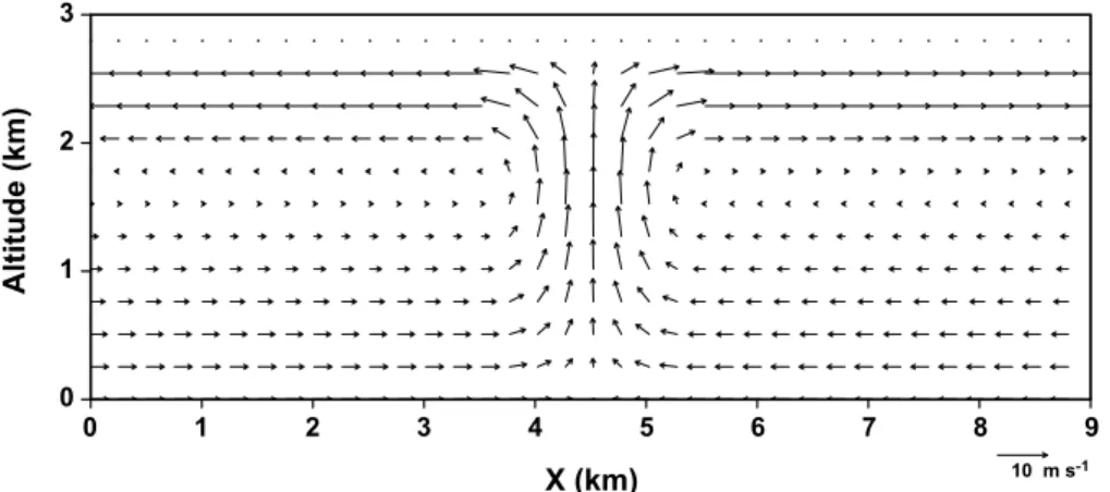 Fig. 1. Wind field at 25 min, corresponding to the peak updraft.