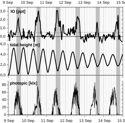 Fig. 1. IO, tidal height and solar radiation during 9–15 September, 1998. The dotted line on the