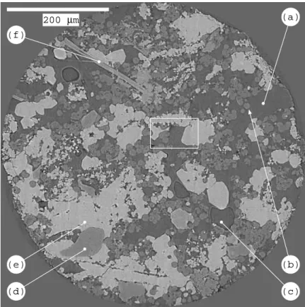 Fig. 2: One slice extracted from a 3-d tomographic image of a tuffeau sample. The image is 2048 × 2048 pixels, pixel size is 0.28 µ m (the radius of the sample is ≈600 µ m) with (a) resin, (b) silica (opal sphere), (c) air bubble in the resin (caused by th