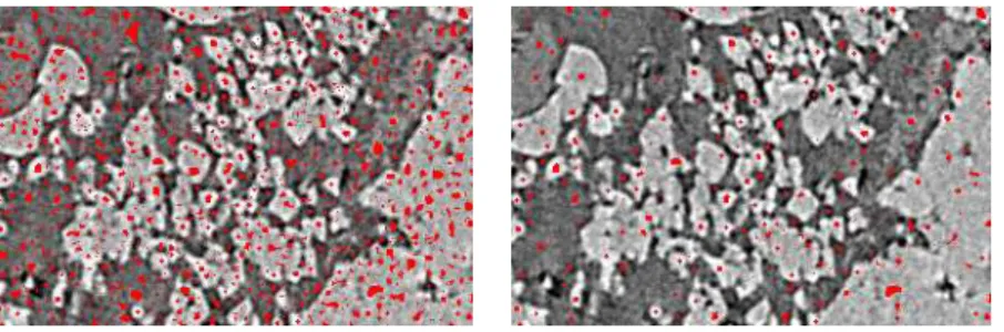 Fig. 6: Illustration of the marker used for the mosaic. Left: minima of the gradient of the ASF filtered image in red superimposed over the original raw image