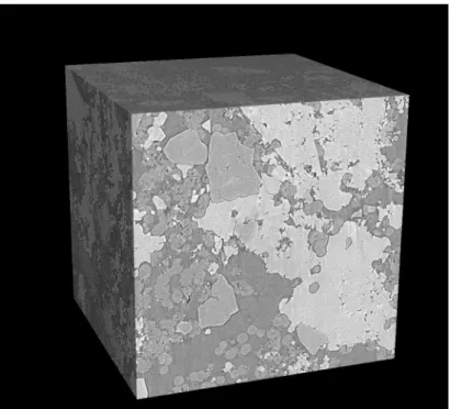 Fig. 7: 3-d illustration of the segmentation process: original image. The image is 1024 × 1024 × 1024 voxels