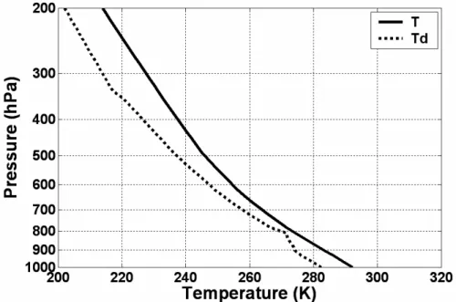 Figure 2 - Profile of initial thermodynamic conditions that were used in all the simulations