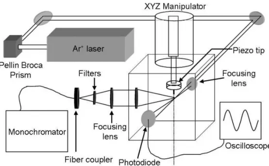 Fig. 1. Experimental apparatus. The droplet train is positioned onto the focal point of the 514.5 nm line of the Ar + laser with an XYZ manipulator