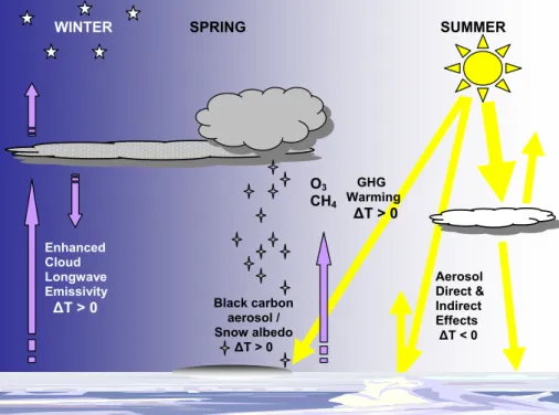 Fig. 1. Forcing mechanisms in the Arctic environment resulting from the poleward transport of middle latitude gas and particulate phase pollutants