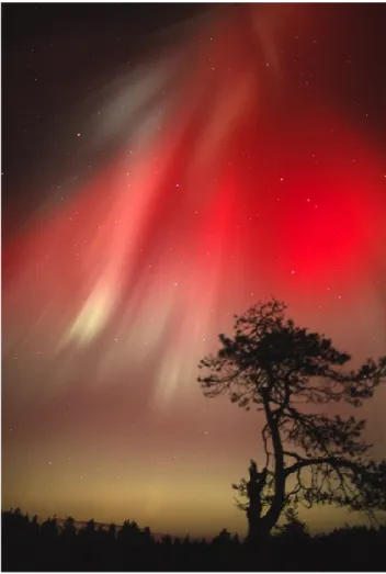 Fig. 2. Auroras in Northern Finland, 21.10.2001 (Photo by J. Jus- Jus-sila).