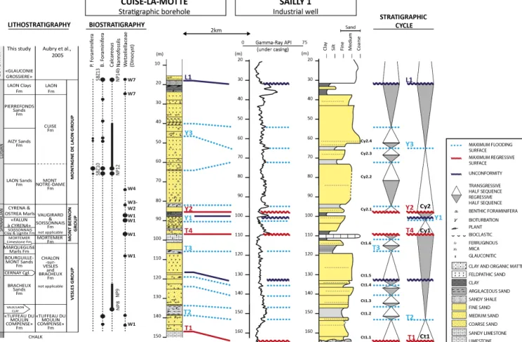 Figure 2. Stratigraphy and sedimentology of the most marine Palaeocene–Lower Eocene sediments of the Paris Basin: the Cuise-la-Motte stratigraphic borehole (Bolin et al., 1982) and the Sailly 1 well