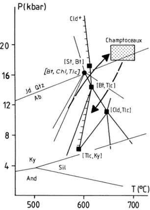 Figure 13 shows a part of the P - T  history of the lower unit of the Champtoceaux nappe