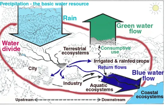 Fig. 1. In a drainage basin perspective, the precipitation over the area represents the proper  water resource, part of which is consumed in plant production and evaporation from moist  surfaces (green water flow) while the surplus goes to recharge aquifer