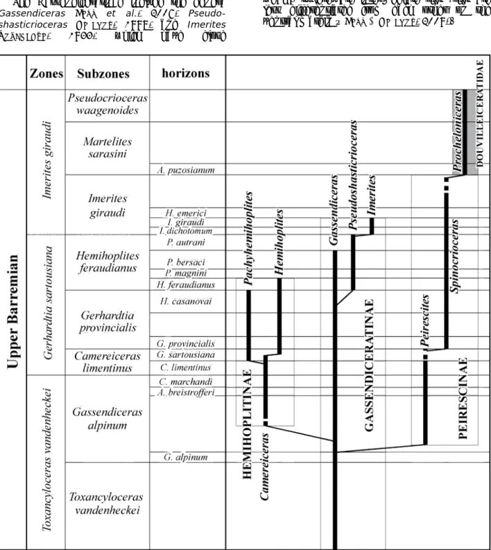 Figure 1: Relationships within the Hemihoplitidae (after B ERT , 2012). 