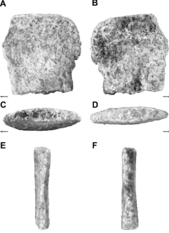 Fig. 8. Metatarsal II, MCZ 101536, of a possible azendohsau- azendohsau-rid; A: left lateral view; B: right lateral view; C: ventral view; 