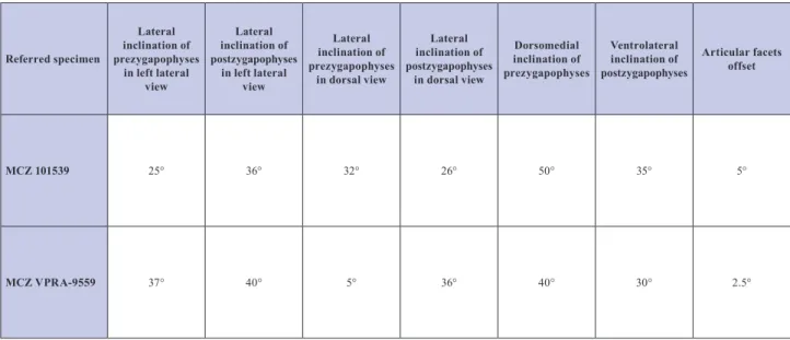 Table 3. Prezygapophyses and postzygapophyses angle measurements of the Malerisaurus-like azendohsaurid anterior cervical ver- ver-tebrae