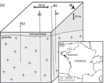 Figure 1. (a) Borehole array configuration and (b) location of the site.