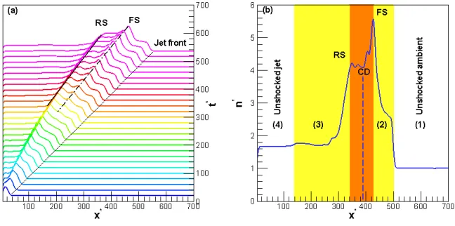 Fig. 1.— Panel (a) shows stacked profiles of the transversely averaged ion density (total jet+ambient) from t ∗ = 20 up to 540 with an interval of ∆t ∗ = 20 and panel (b) represents the ion density profile at t ∗ = 500