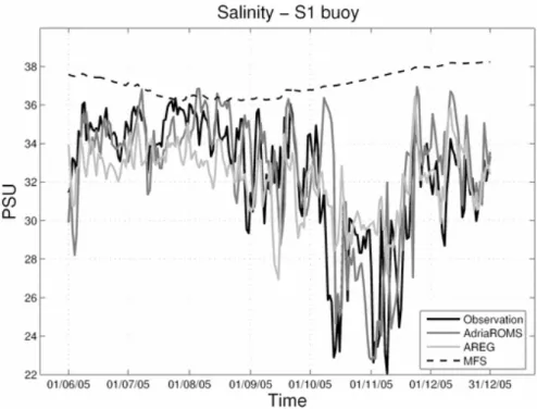 Fig. 4. Time series of daily averages salinity at S1 buoy location at 0.5 depth.