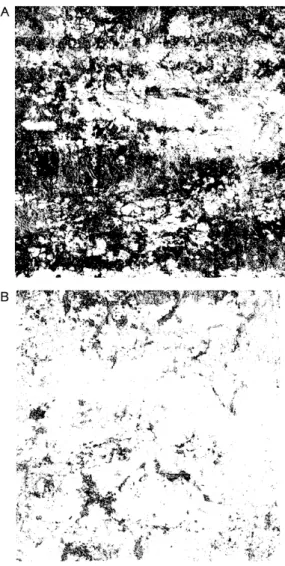 Fig. 1. Images of horizontal sections of 2×2 m corresponding to a depth of: (A) 20 cm and (B) 30 com