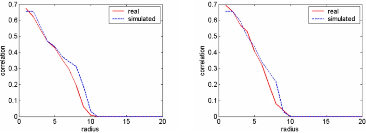 Fig. 4. Correlation functions of the simulations made for the 2-D von Neumann’s neighbourhood of radius 1 with the α1 criterion and the abridged catalogue