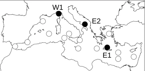 Fig. 4. The M3A network. Black circles represent buoys active in MFSTEP, white circles represent a possible development of the network.
